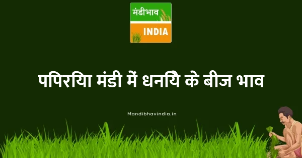 Corriander Seed भाव